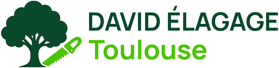 David élagage 31